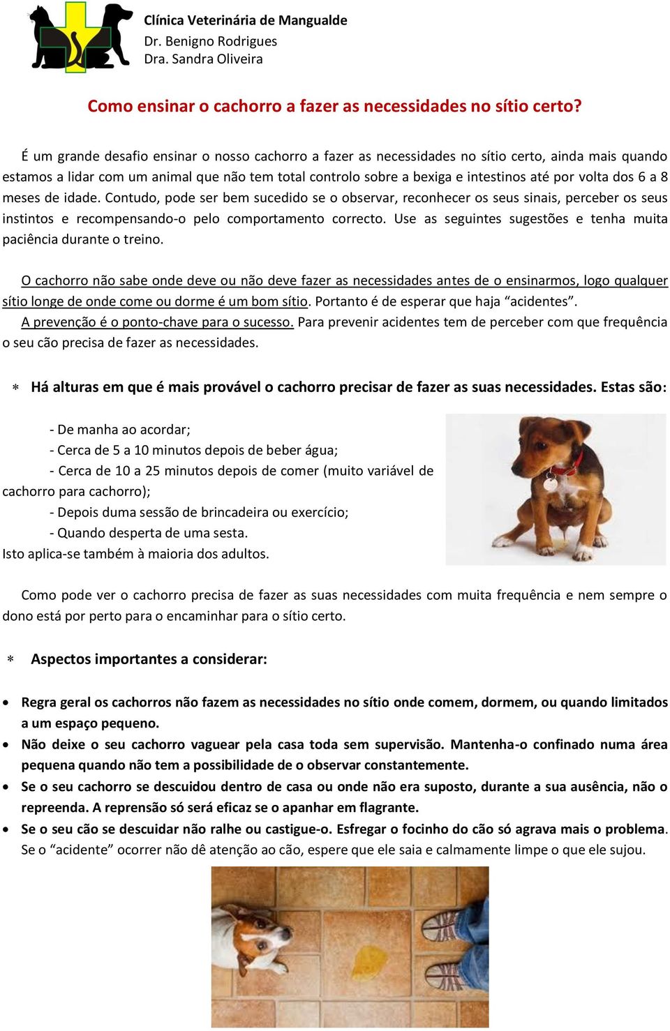 volta dos 6 a 8 meses de idade. Contudo, pode ser bem sucedido se o observar, reconhecer os seus sinais, perceber os seus instintos e recompensando-o pelo comportamento correcto.