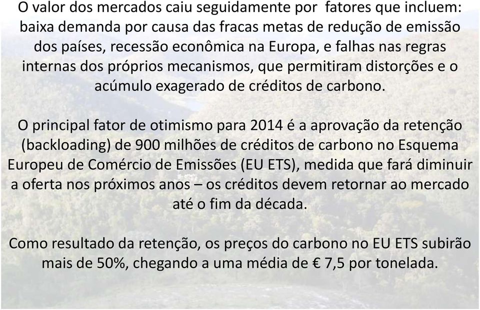 O principal fator de otimismo para 2014 é a aprovação da retenção (backloading) de 900 milhões de créditos de carbono no Esquema Europeu de Comércio de Emissões (EU ETS),