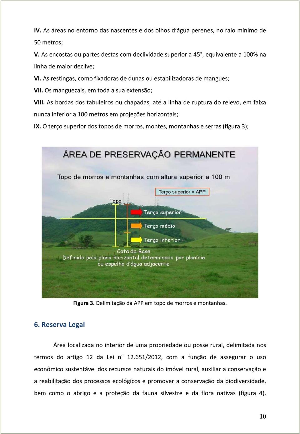 Os manguezais, em toda a sua extensão; VIII. As bordas dos tabuleiros ou chapadas, até a linha de ruptura do relevo, em faixa nunca inferior a 100 metros em projeções horizontais; IX.