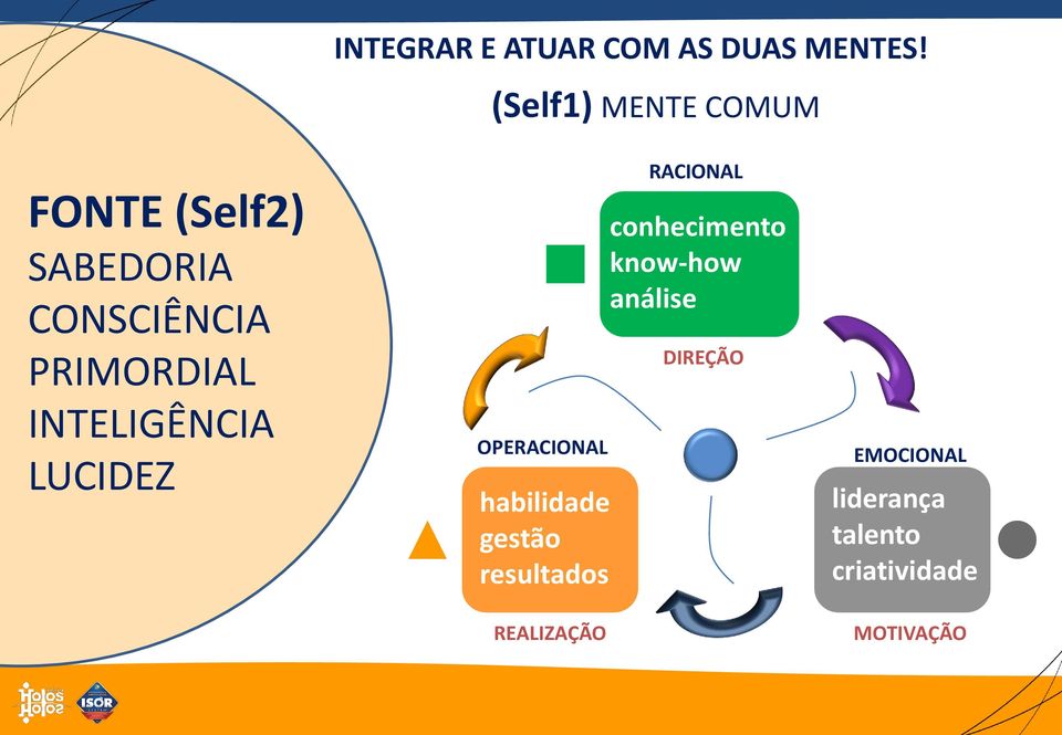 INTELIGÊNCIA LUCIDEZ OPERACIONAL habilidade gestão resultados