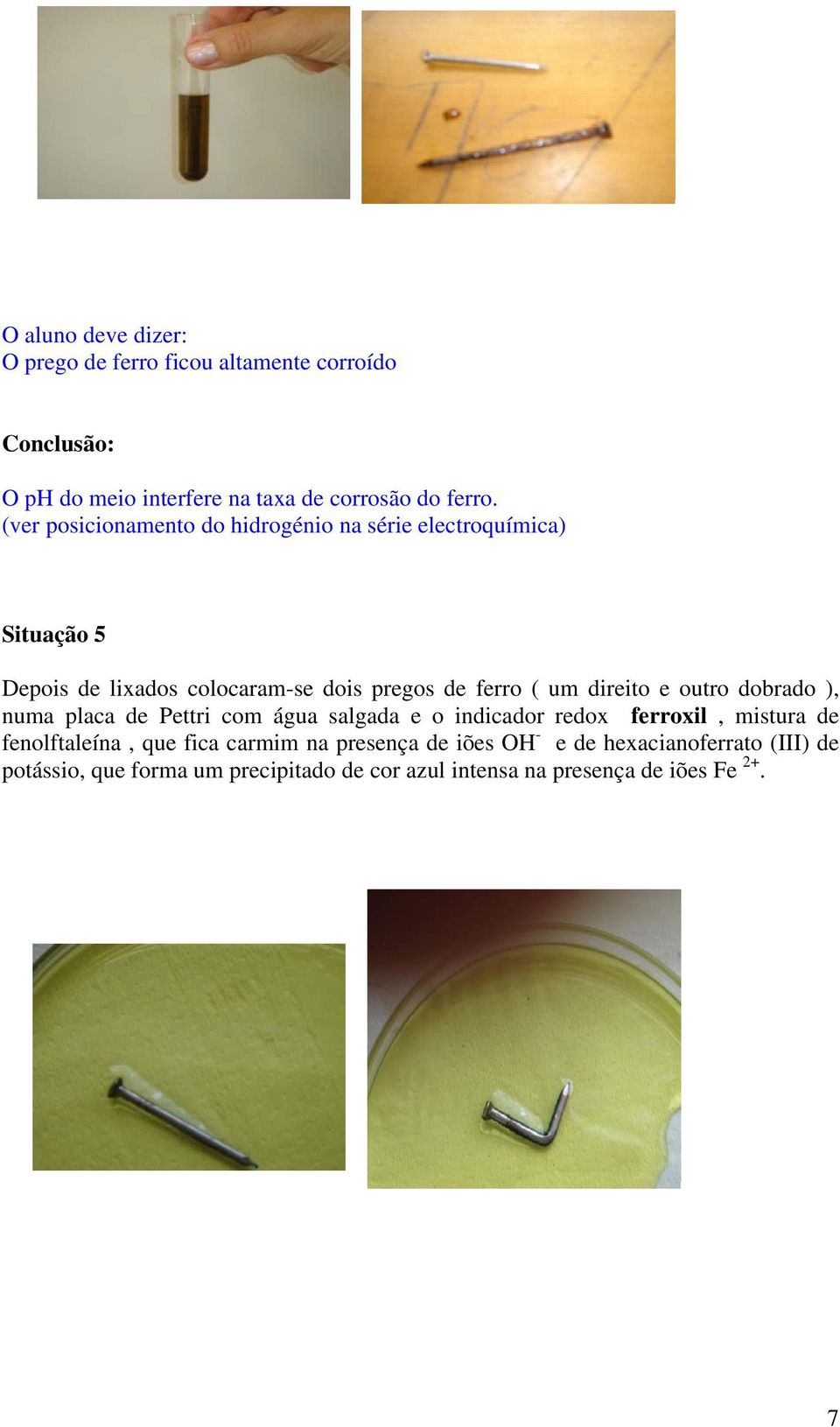 direito e outro dobrado ), numa placa de Pettri com água salgada e o indicador redox ferroxil, mistura de fenolftaleína, que fica