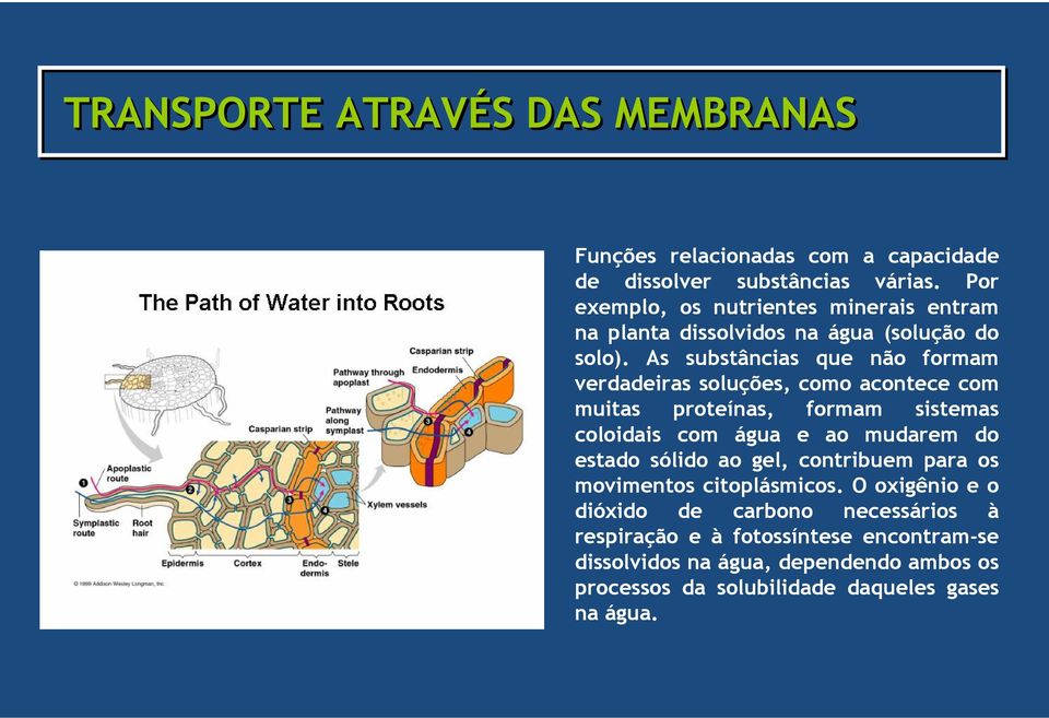 As substâncias que não formam verdadeiras soluções, como acontece com muitas proteínas, formam sistemas coloidais com água e ao mudarem do estado