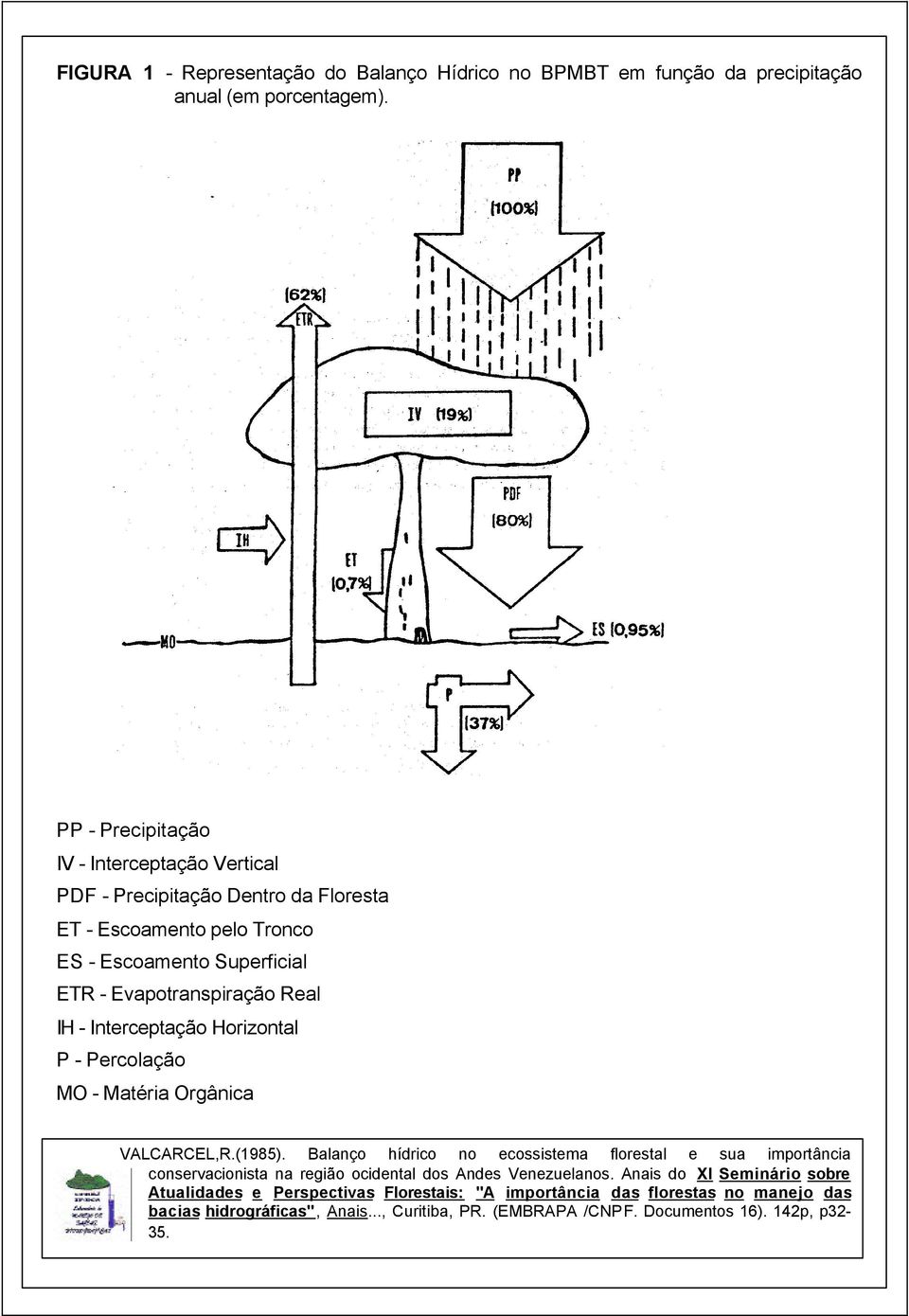 IH - Interceptação Horizontal P - Percolação MO - Matéria Orgânica VALCARCEL,R.(1985).