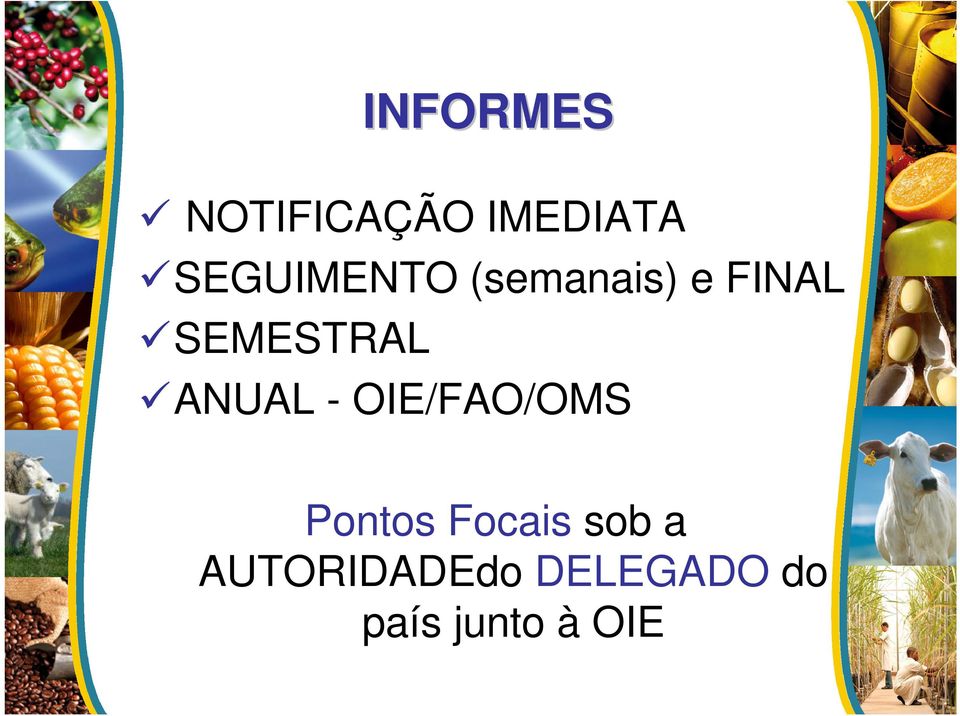 SEMESTRAL ANUAL - OIE/FAO/OMS Pontos