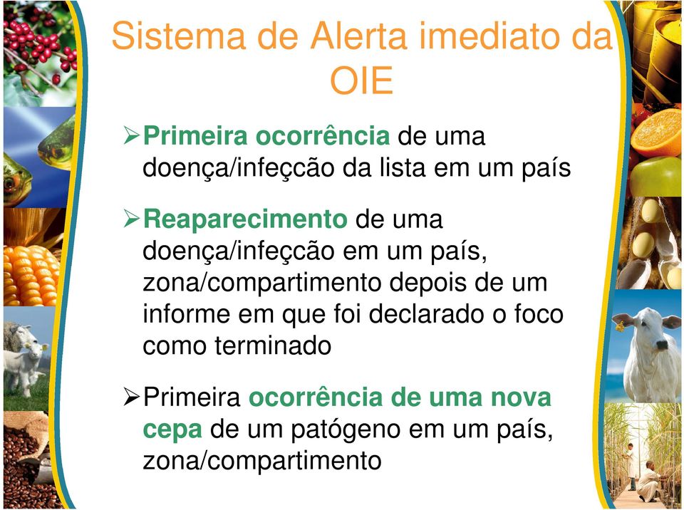 zona/compartimento depois de um informe em que foi declarado o foco como