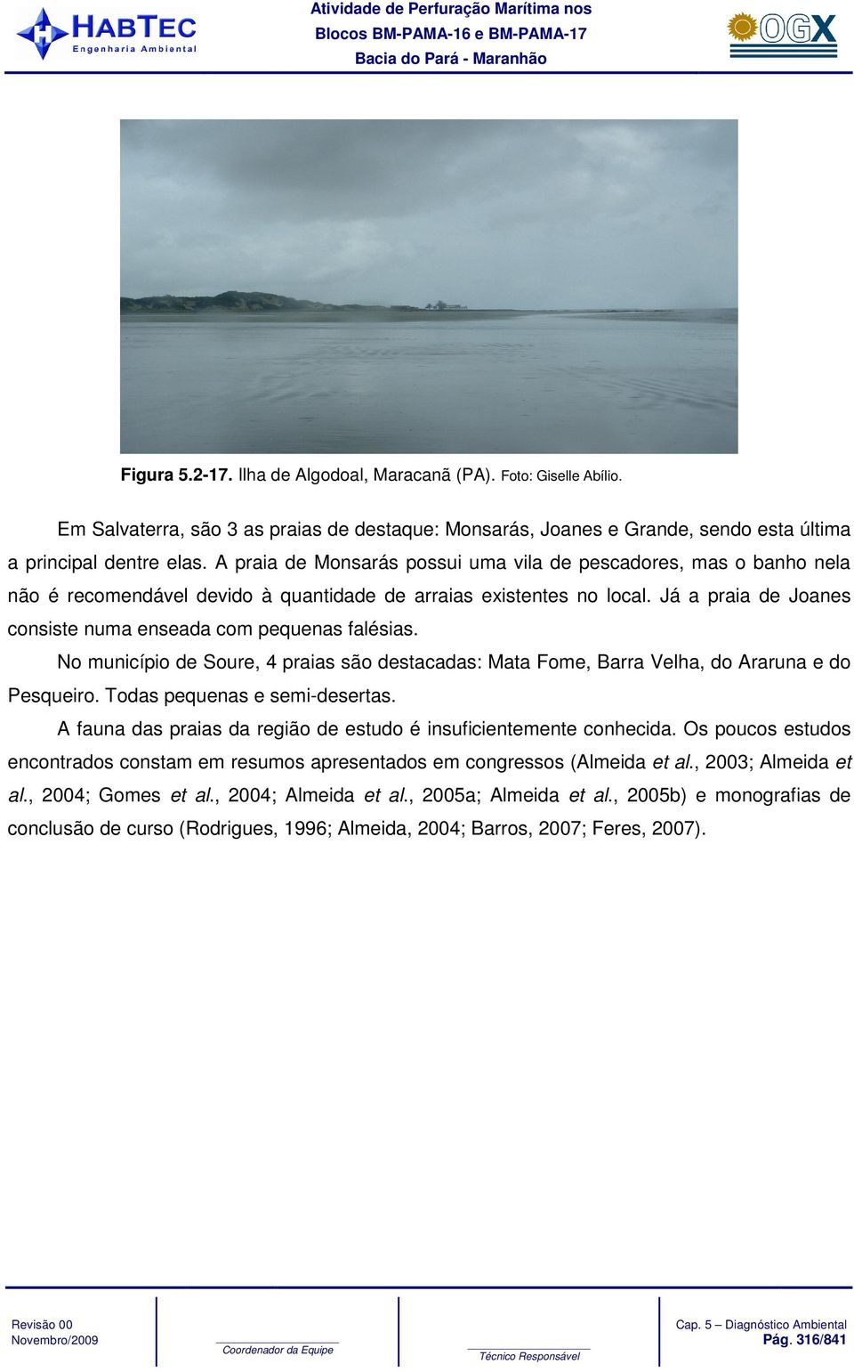 Já a praia de Joanes consiste numa enseada com pequenas falésias. No município de Soure, 4 praias são destacadas: Mata Fome, Barra Velha, do Araruna e do Pesqueiro. Todas pequenas e semi-desertas.