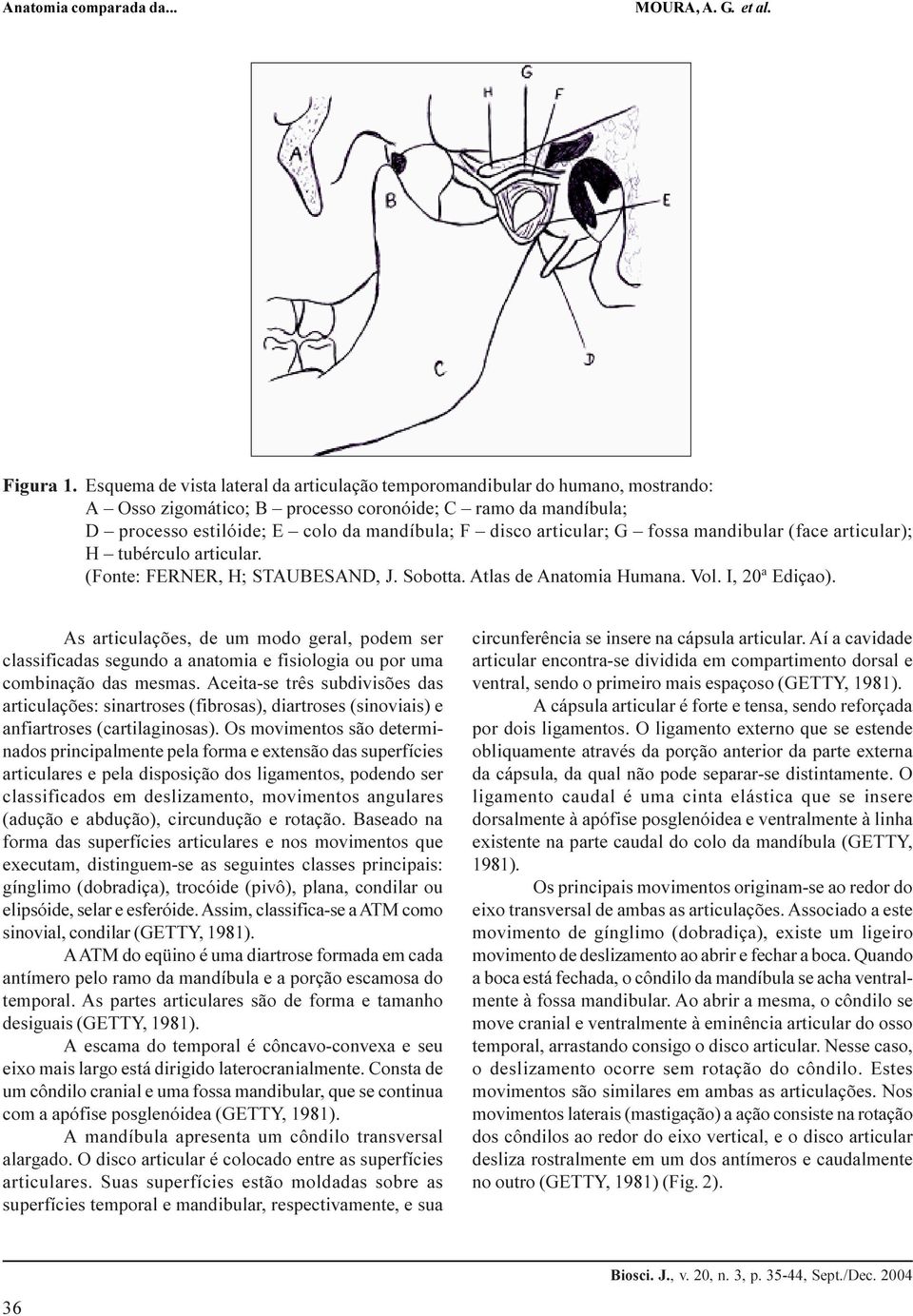 articular; G fossa mandibular (face articular); H tubérculo articular. (Fonte: FERNER, H; STAUBESAND, J. Sobotta. Atlas de Anatomia Humana. Vol. I, 20ª Ediçao).
