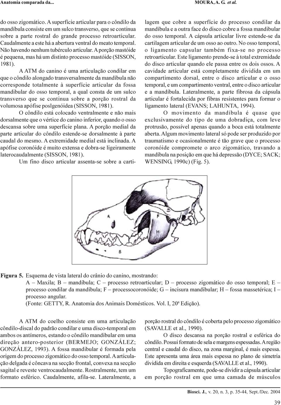 A ATM do canino é uma articulação condilar em que o côndilo alongado transversalmente da mandíbula não corresponde totalmente à superfície articular da fossa mandibular do osso temporal, a qual