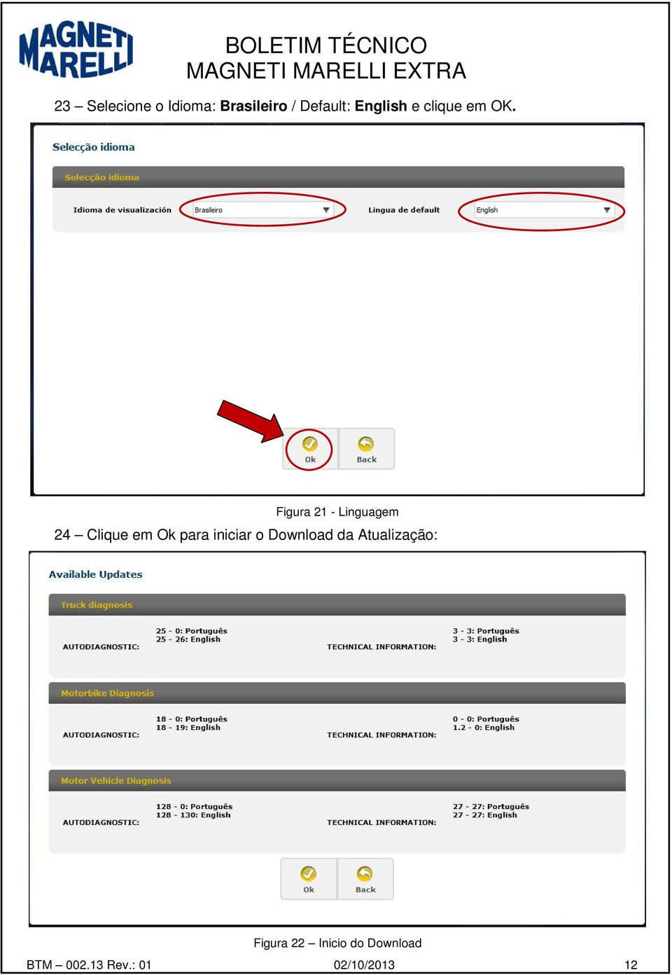 Figura 21 - Linguagem 24 Clique em Ok para iniciar o