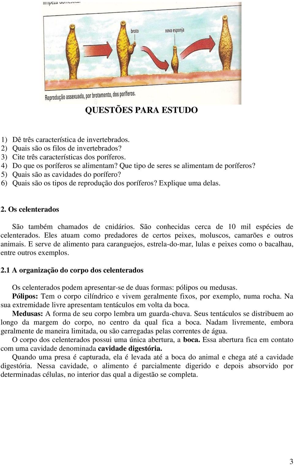 Os celenterados São também chamados de cnidários. São conhecidas cerca de 10 mil espécies de celenterados. Eles atuam como predadores de certos peixes, moluscos, camarões e outros animais.