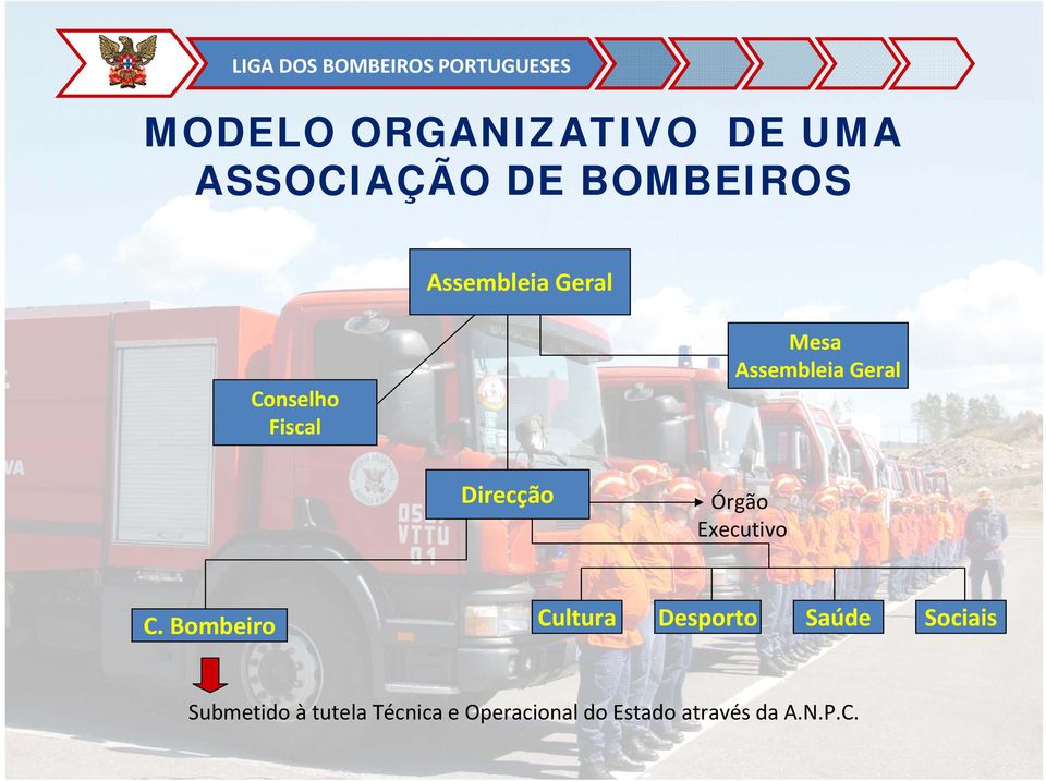 Direcção Órgão Executivo C.