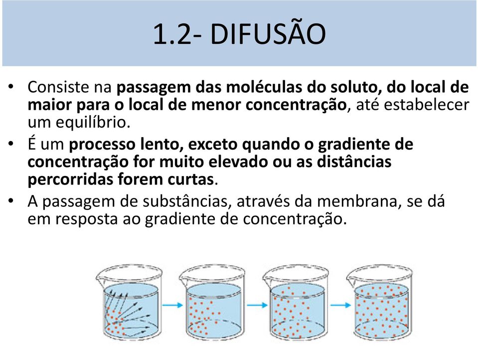 É um processo lento, exceto quando o gradiente de concentração for muito elevado ou as