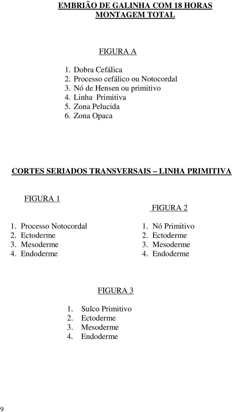 Zona Opaca CORTES SERIADOS TRANSVERSAIS LINHA PRIMITIVA FIGURA 1 1. Processo Notocordal 2. Ectoderme 3.
