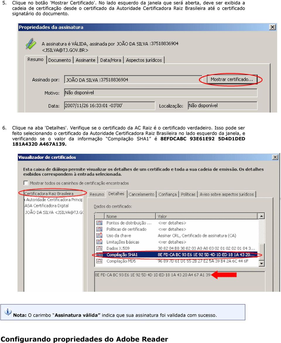 signatário do documento. 6. Clique na aba 'Detalhes'. Verifique se o certificado da AC Raiz é o certificado verdadeiro.