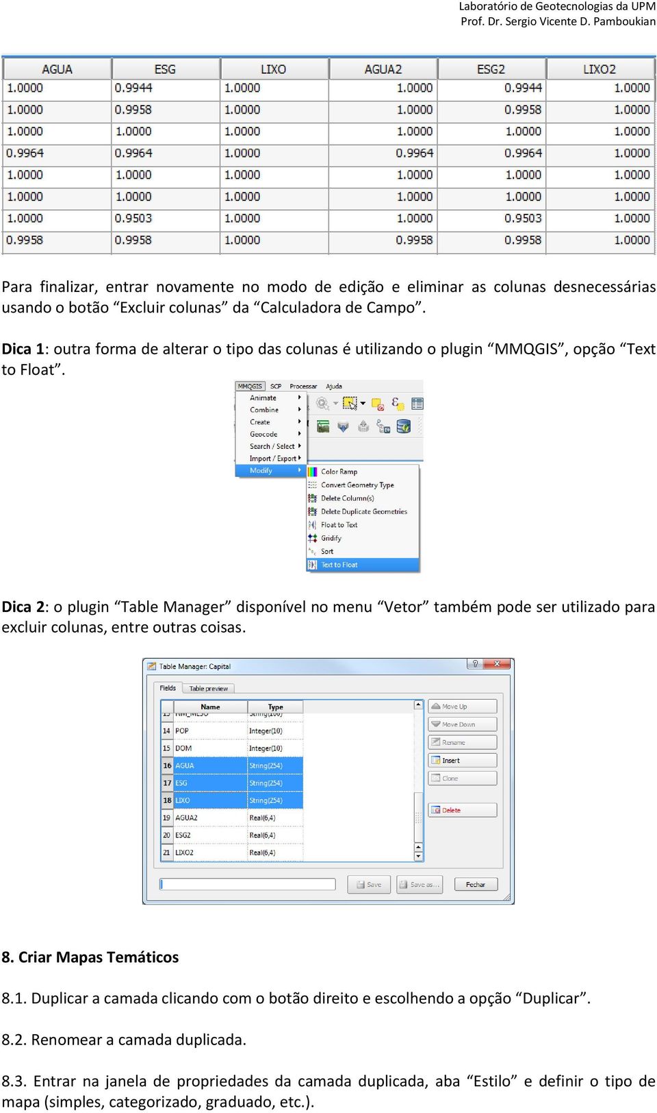 Dica 2: o plugin Table Manager disponível no menu Vetor também pode ser utilizado para excluir colunas, entre outras coisas. 8. Criar Mapas Temáticos 8.1.