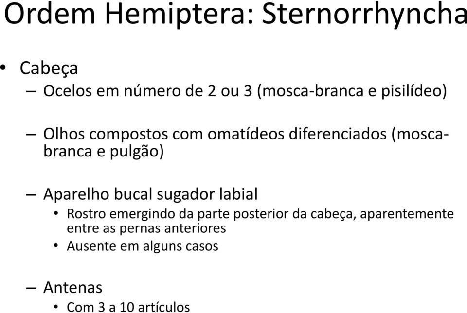 Aparelho bucal sugador labial Rostro emergindo da parte posterior da cabeça,