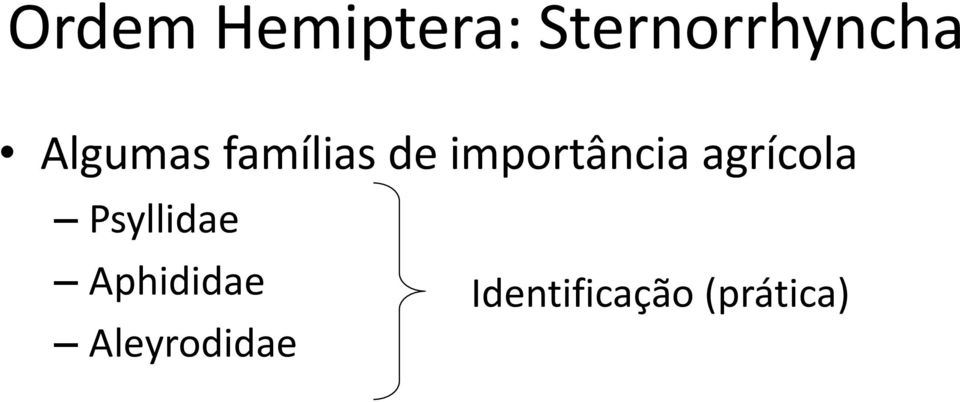 agrícola Psyllidae Aphididae