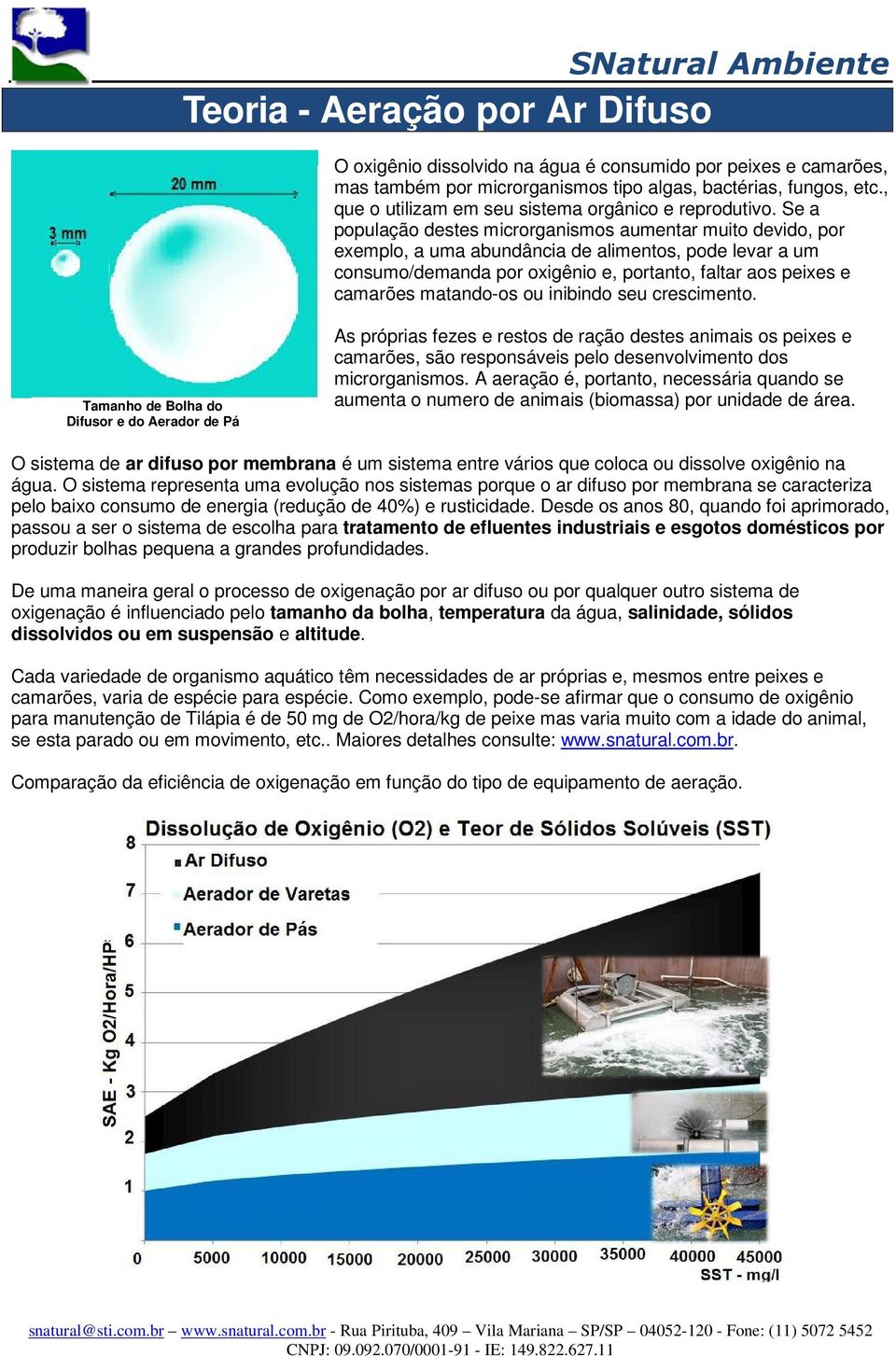 Se a população destes microrganismos aumentar muito devido, por exemplo, a uma abundância de alimentos, pode levar a um consumo/demanda por oxigênio e, portanto, faltar aos peixes e camarões