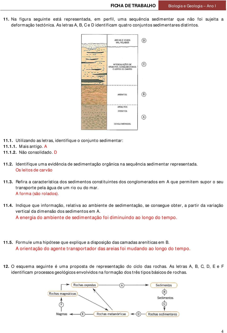 Os leitos de carvão 11.3. Refira a característica dos sedimentos constituintes dos conglomerados em A que permitem supor o seu transporte pela água de um rio ou do mar. A forma (são rolados). 11.4.