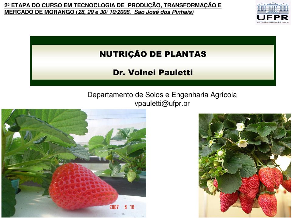 São José dos Pinhais) NUTRIÇÃO DE PLANTAS Dr.