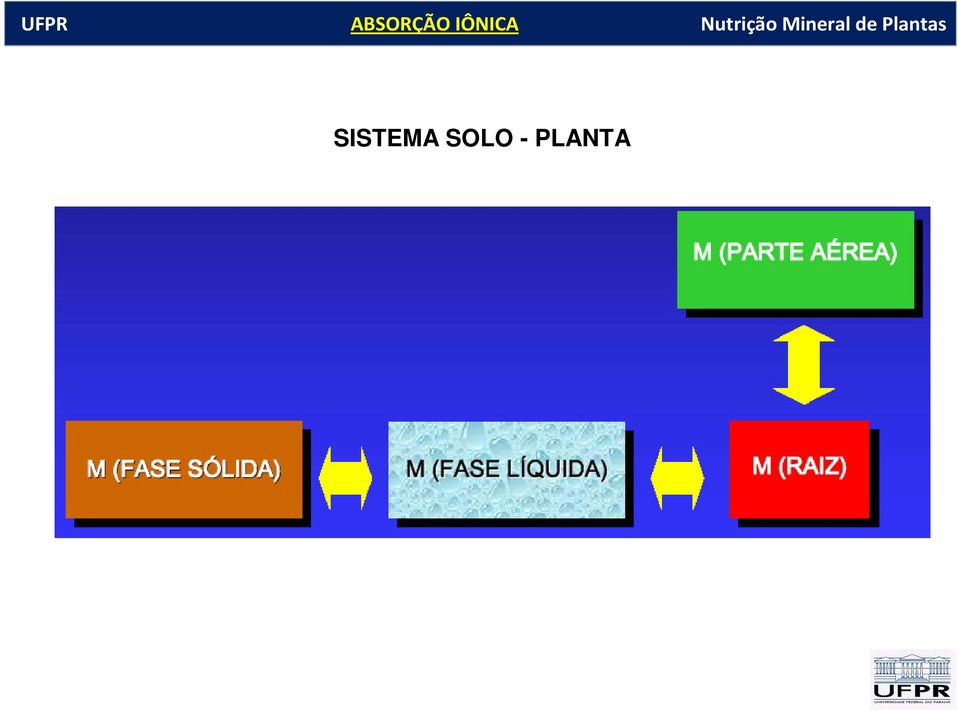 SISTEMA