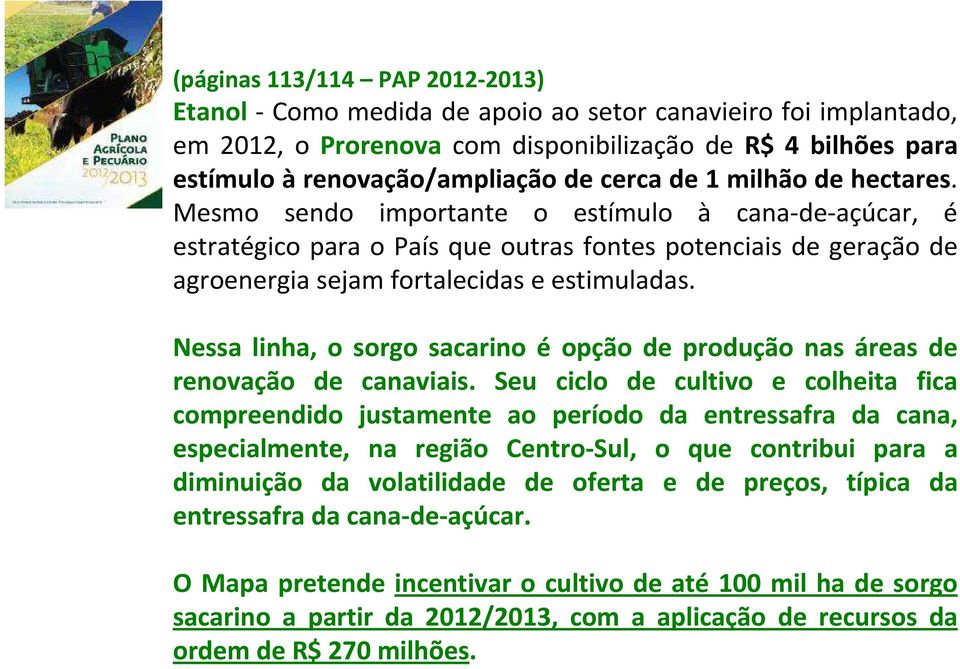 Nessa linha, o sorgo sacarino é opção de produção nas áreas de renovação de canaviais.