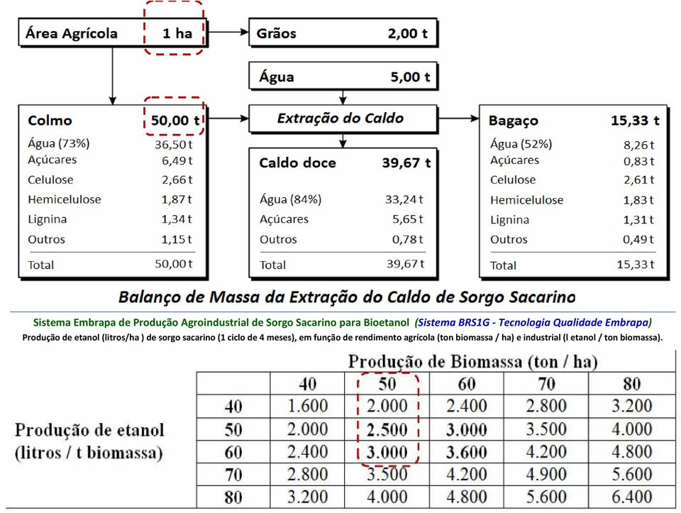 etanol (litros/ha) de sorgo sacarino (1 ciclo de 4 meses), em função