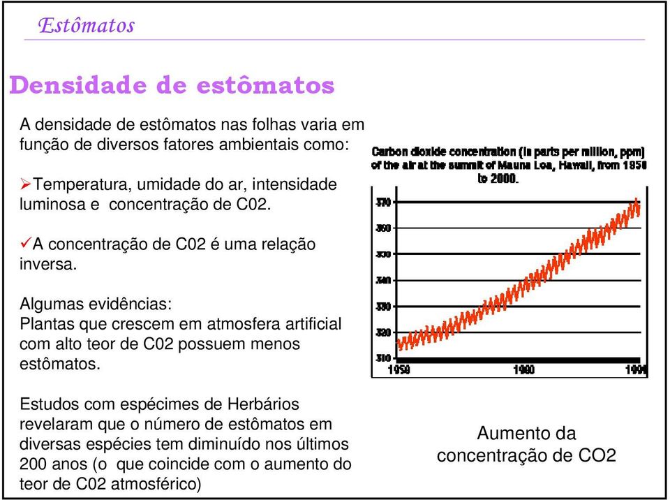 Algumas evidências: Plantas que crescem em atmosfera artificial com alto teor de C02 possuem menos estômatos.