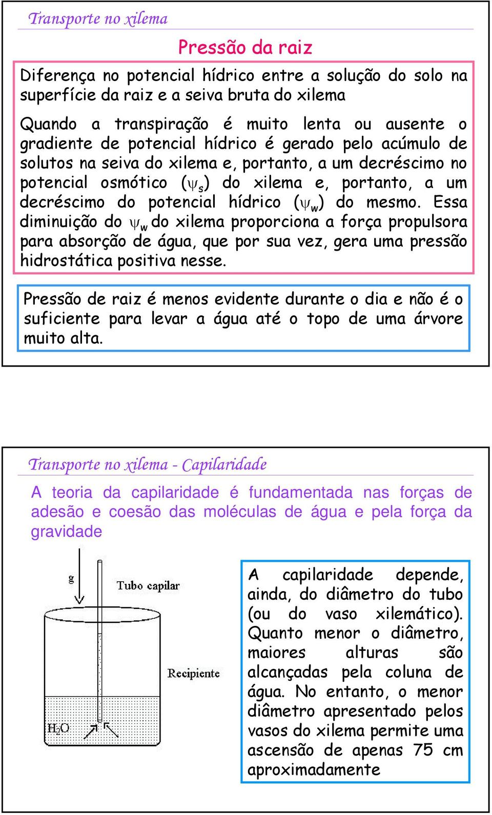 mesmo. Essa diminuição do w do xilema proporciona a força propulsora para absorção de água, que por sua vez, gera uma pressão hidrostática positiva nesse.