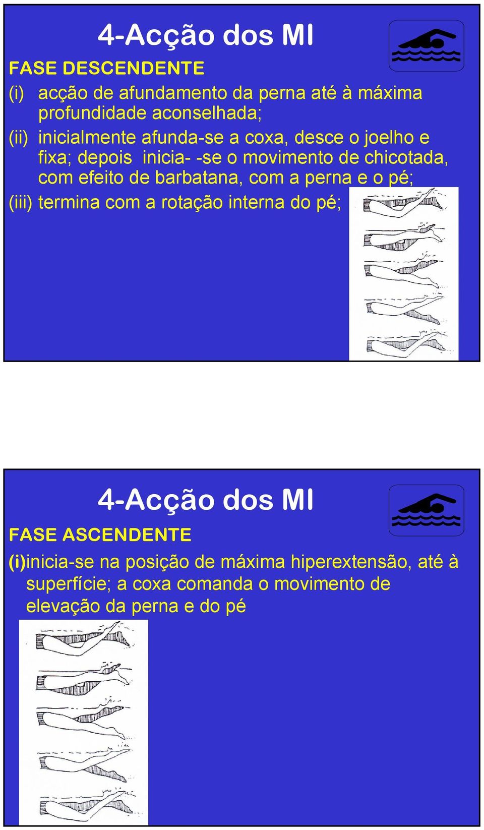 barbatana, com a perna e o pé; (iii) termina com a rotação interna do pé; 4-Acção dos MI FASE ASCENDENTE