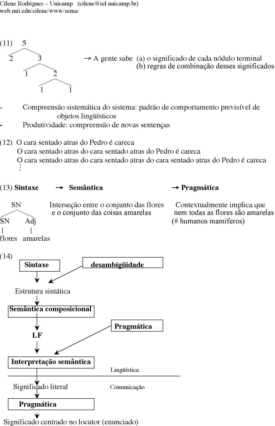 do cara sentado atras do cara sentado atras do Pedro é careca M (13) Sintaxe Semântica Pragmática SN Interseção entre o conjunto das flores Contextualmente implica que 3 e o conjunto das coisas