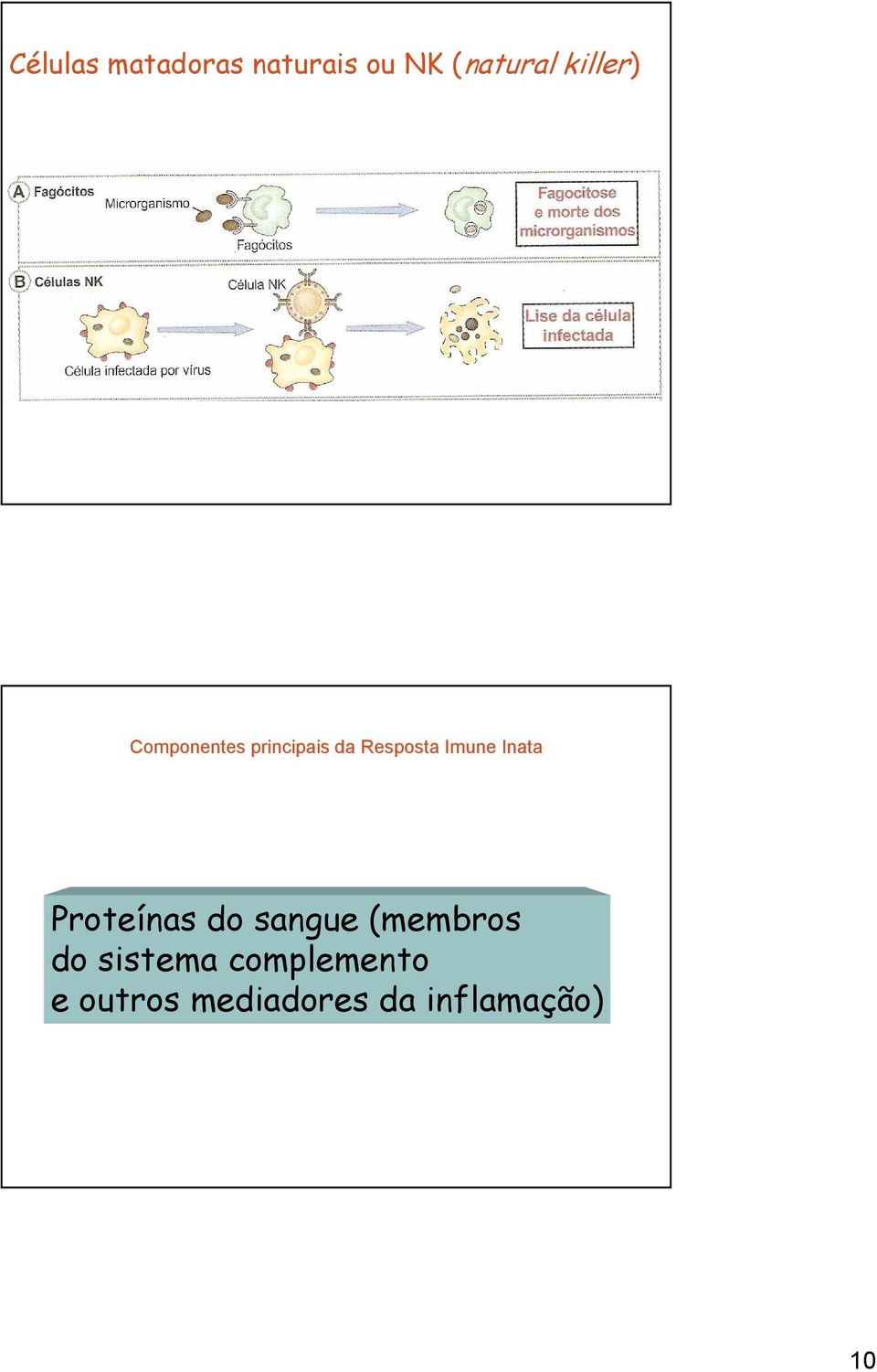 Imune Inata Proteínas do sangue (membros do