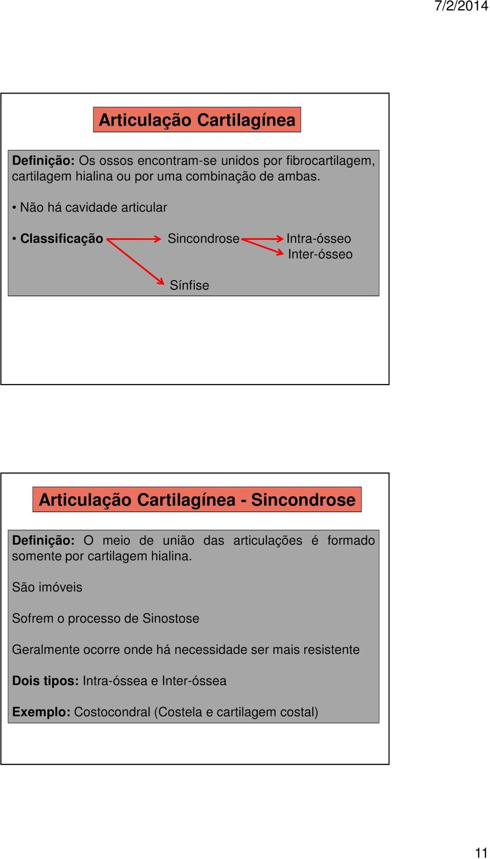 Não há cavidade articular Classificação Sincondrose Intra-ósseo Inter-ósseo Sínfise Articulação Cartilagínea - Sincondrose Definição: