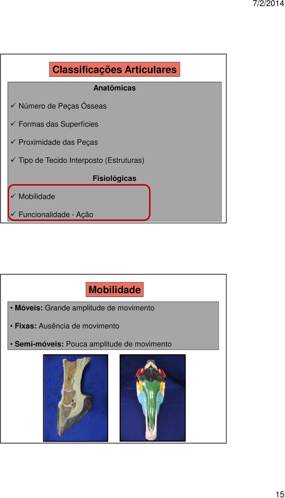 Fisiológicas Mobilidade Funcionalidade - Ação Mobilidade Móveis: Grande