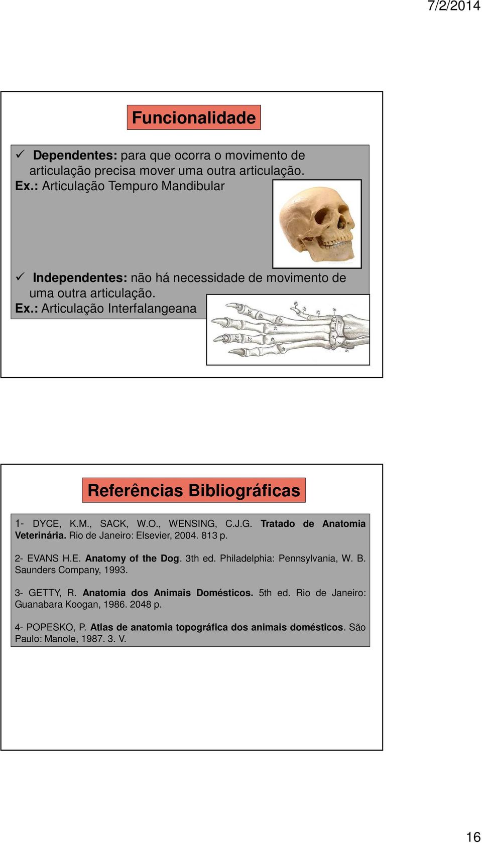 : Articulação Interfalangeana Referências Bibliográficas 1- DYCE, K.M., SACK, W.O., WENSING, C.J.G. Tratado de Anatomia Veterinária. Rio de Janeiro: Elsevier, 2004. 813 p.