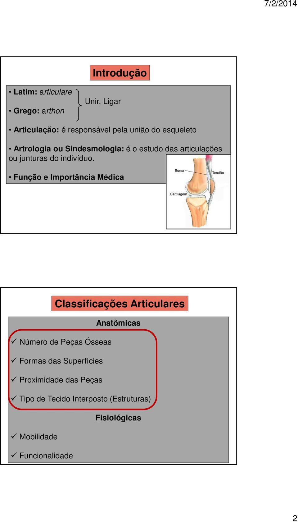 Função e Importância Médica Classificações Articulares Anatômicas Número de Peças Ósseas Formas das