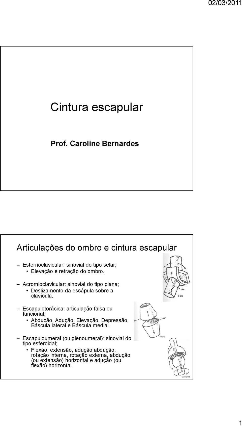 Acromioclavicular: sinovial do tipo plana; Deslizamento da escápula sobre a clavícula.