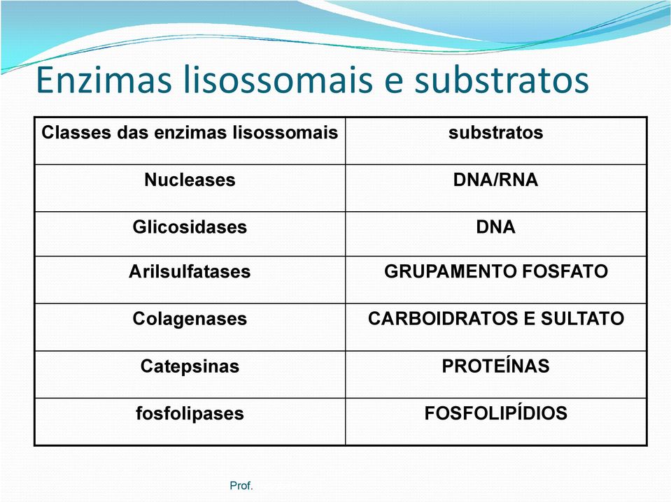 DNA Arilsulfatases GRUPAMENTO FOSFATO Colagenases