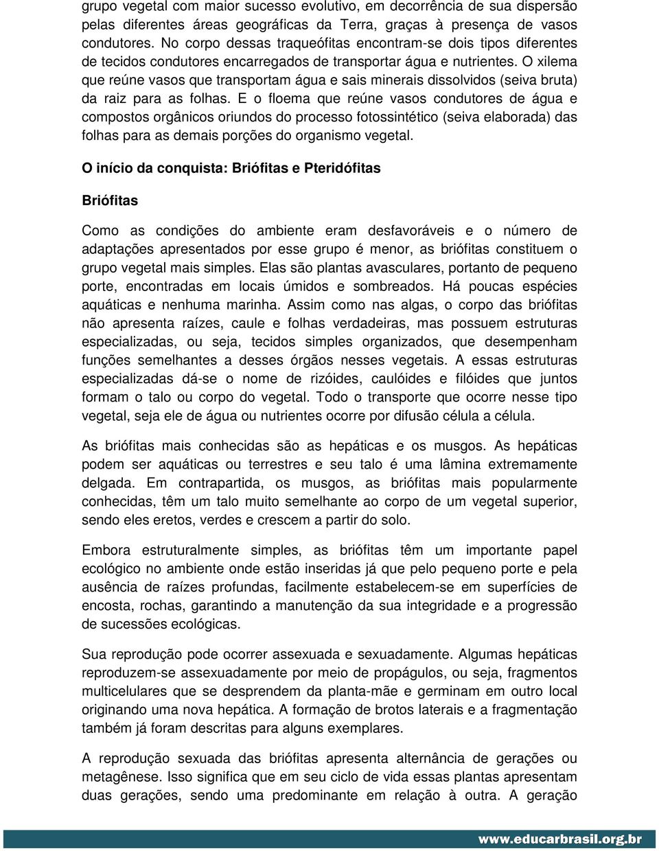 O xilema que reúne vasos que transportam água e sais minerais dissolvidos (seiva bruta) da raiz para as folhas.