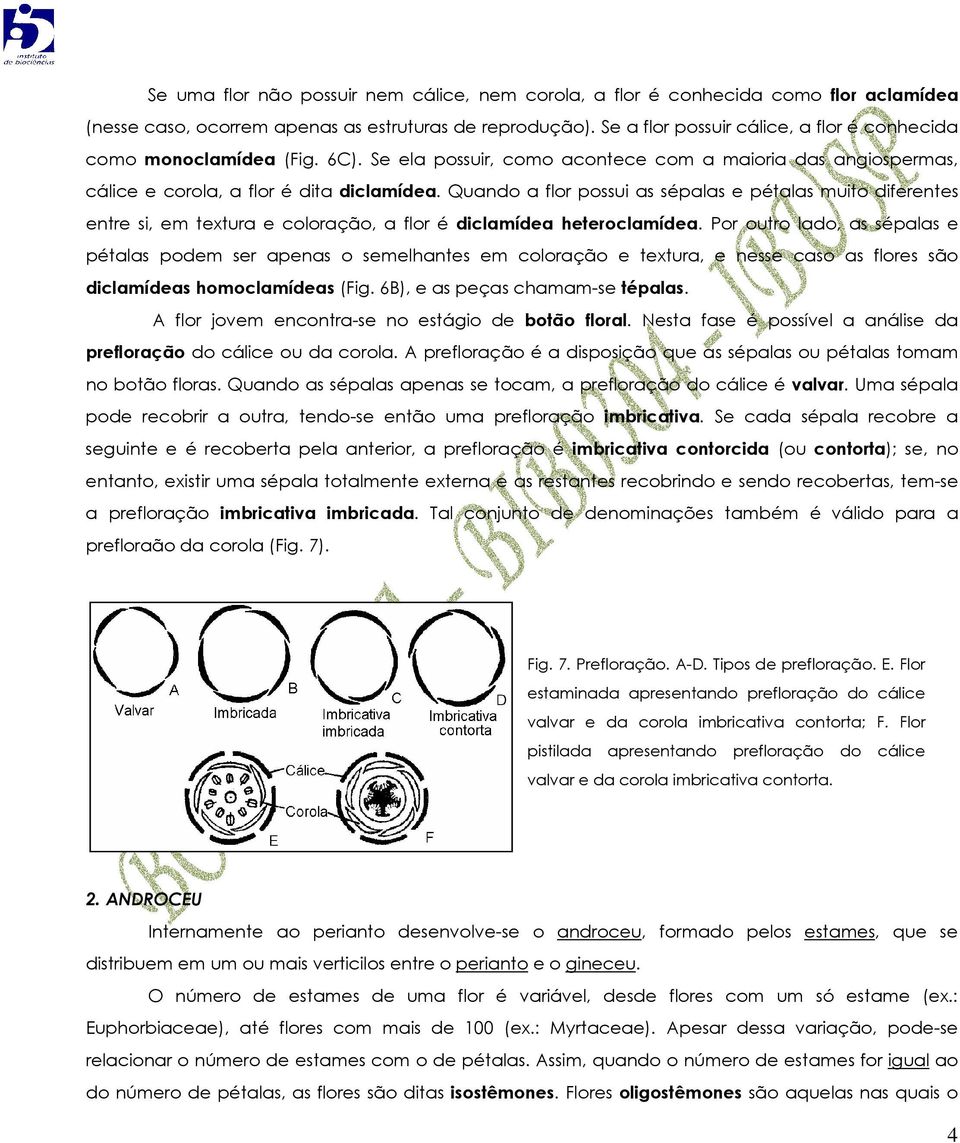 Quando a flor possui as sépalas e pétalas muito diferentes entre si, em textura e coloração, a flor é diclamídea heteroclamídea.