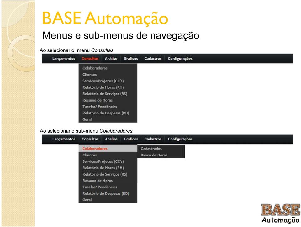 o menu Consultas Ao