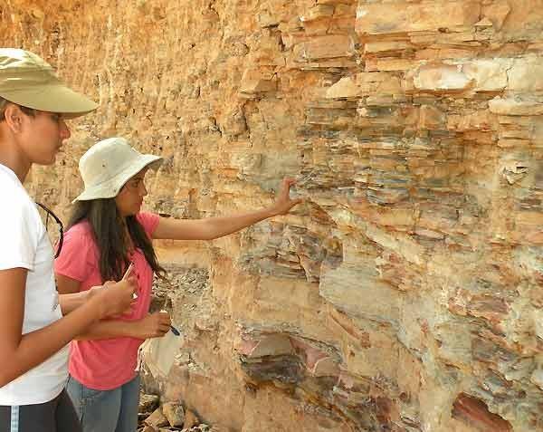 As unidades bioestratigráficas também são totalmente independentes das litoestratigráficas.