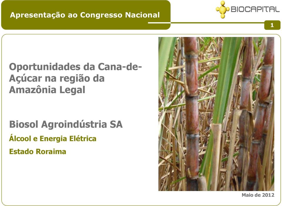 da Amazônia Legal Biosol Agroindústria SA