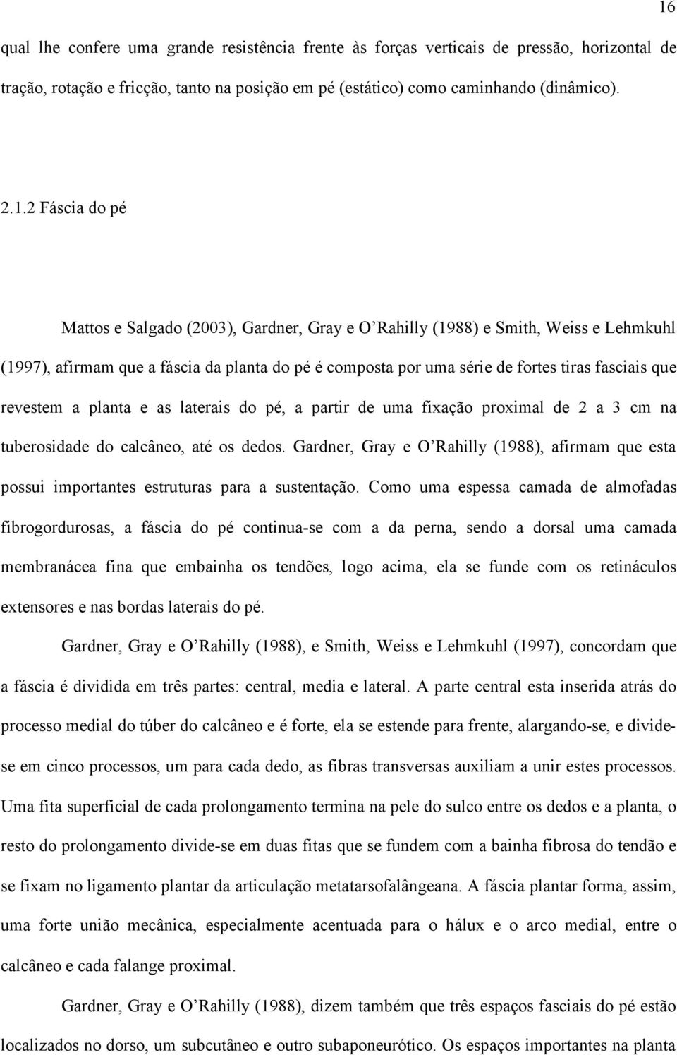 que revestem a planta e as laterais do pé, a partir de uma fixação proximal de 2 a 3 cm na tuberosidade do calcâneo, até os dedos.