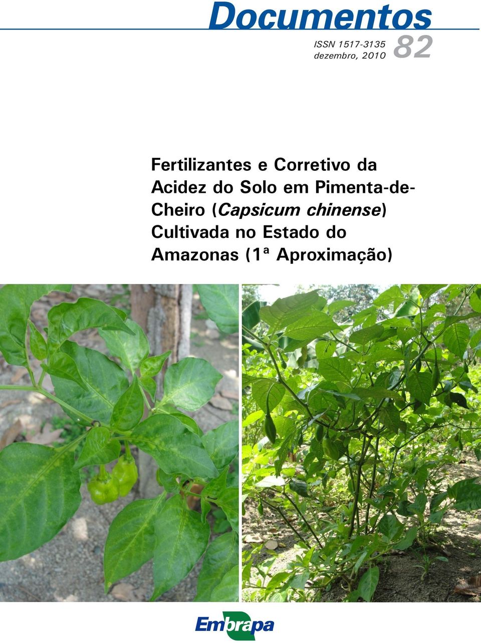 Solo em Pimenta-de- Cheiro (Capsicum