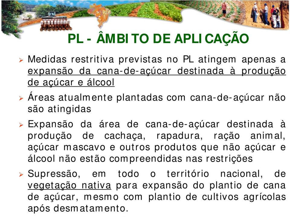 rapadura, ração animal, açúcar mascavo e outros produtos que não açúcar e álcool não estão compreendidas nas restrições Supressão, em todo