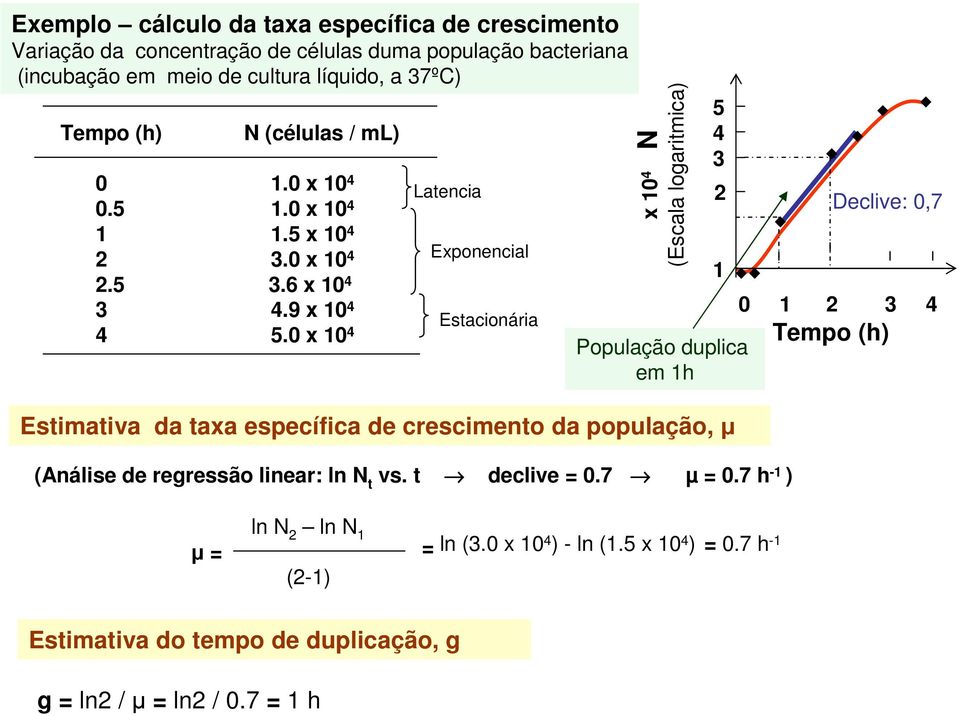 0 x 10 4 Latencia Exponencial Estacionária x 10 4 N (Escala logaritmica) Estimativa da taxa específica de crescimento da população, µ (Análise de regressão linear: ln N t