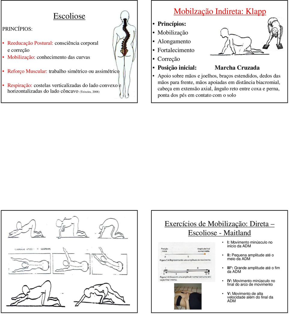 mãos e joelhos, braços estendidos, dedos das mãos para frente, mãos apoiadas em distância biacromial, cabeça em extensão axial, ângulo reto entre coxa e perna, ponta dos pés em contato com o solo