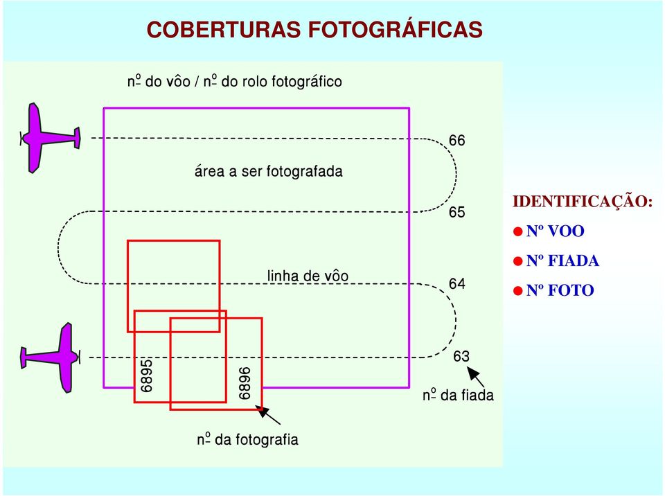 IDENTIFICAÇÃO: