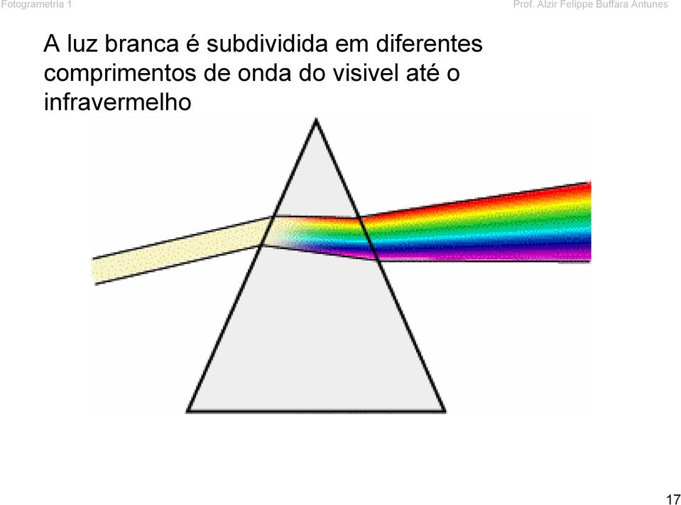 branca é subdividida em diferentes